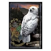 Harry Potter Hogwarts Castle and Hedwig Puzzle